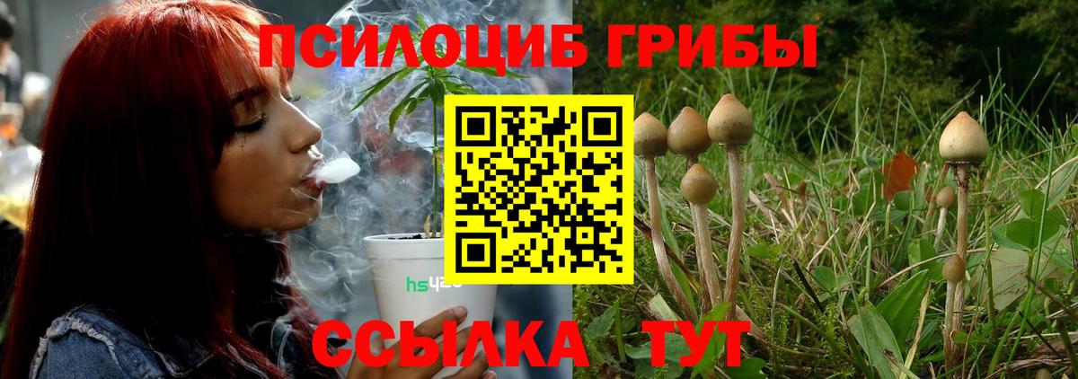 Псилоцибиновые грибы мухоморы Югорск